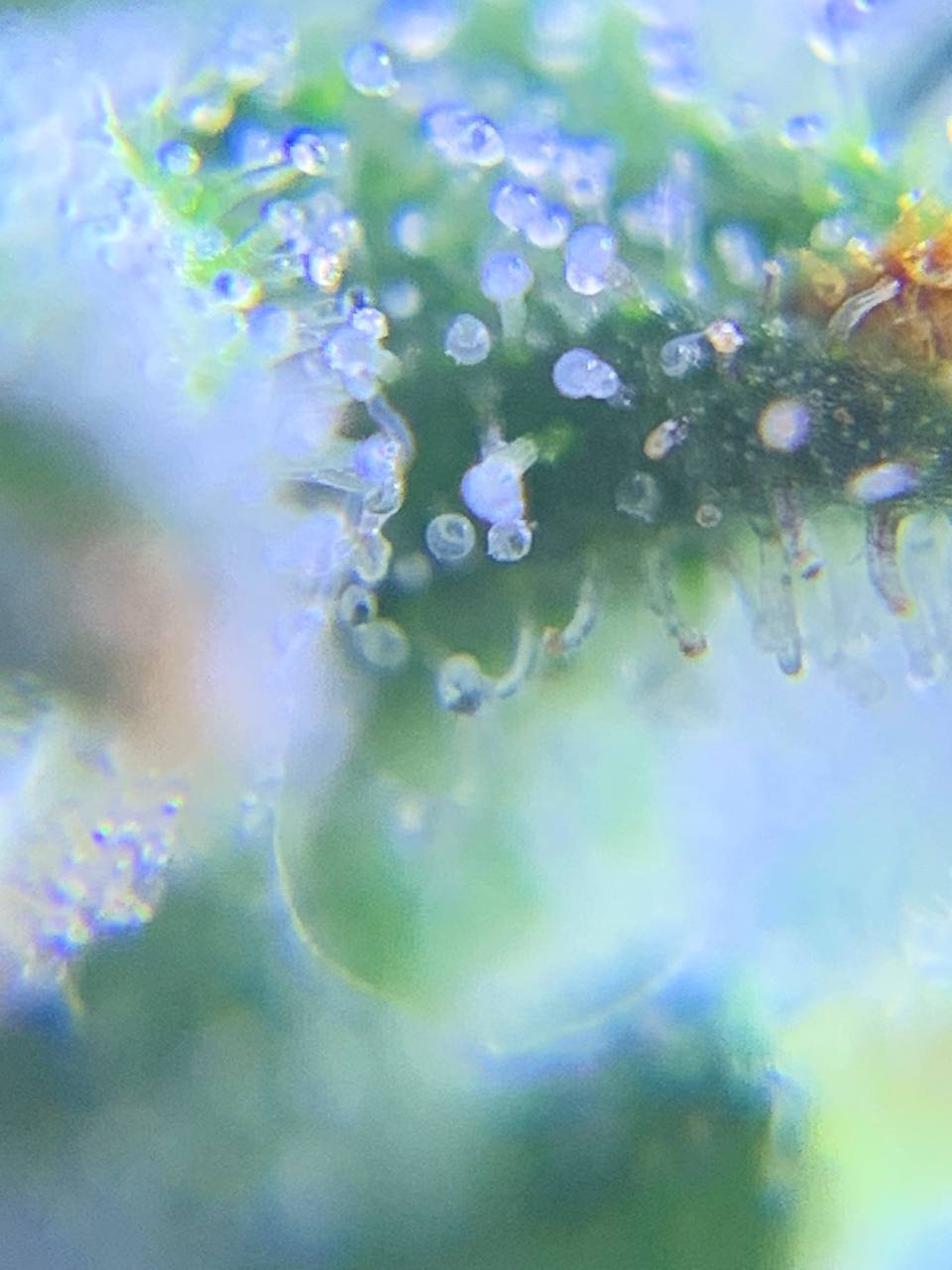 photo_2022-12-31_20-54-34 (2).jpg