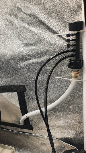 20230104_204838.jpg