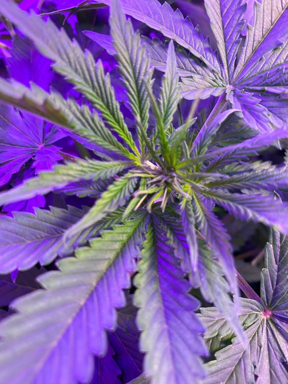 photo1676739698 (3).jpeg