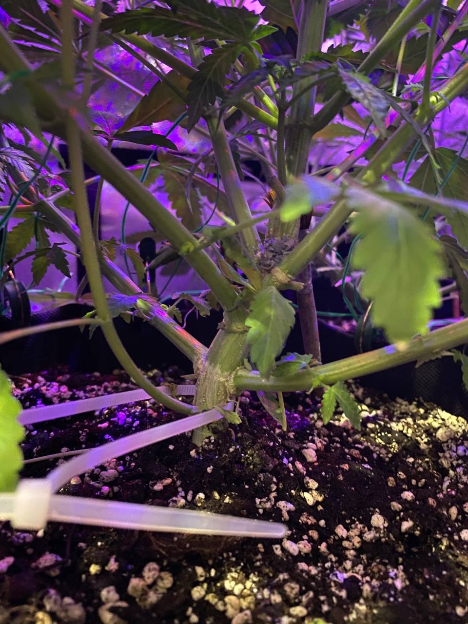 photo1677430783 (2).jpeg