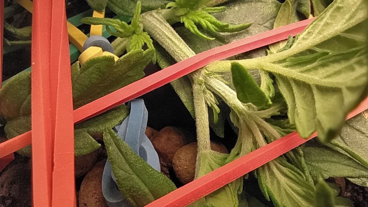 photo_2023-02-27_17-29-02 (2).jpg