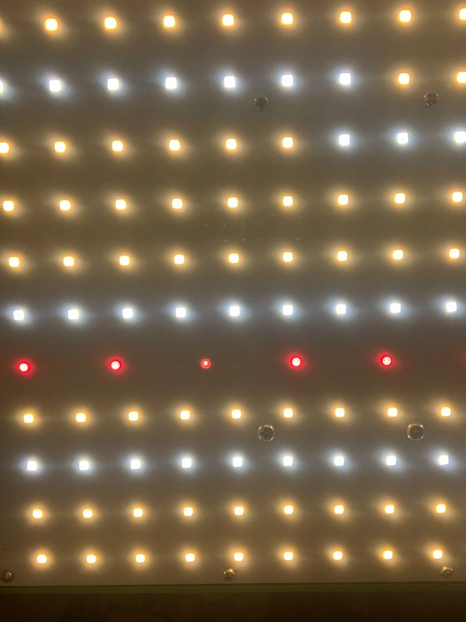 photo_5222446375717947379_y.jpg photo_5222446375717947379_y.jpg