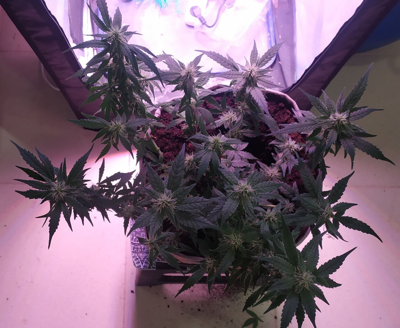 photo_2023-03-17_16-15-23 (2).jpg