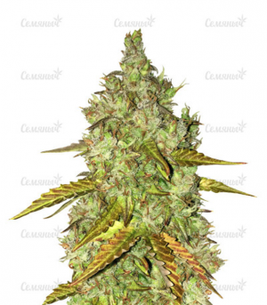 1681043199061.png 1681043199061.png