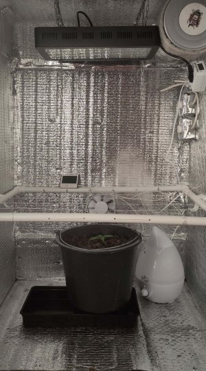 IMG_20211109_150805 0000 (1)-min.jpg