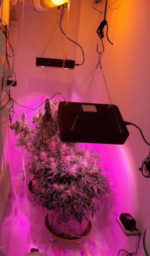 20230422_203823.jpg 20230422_203823.jpg