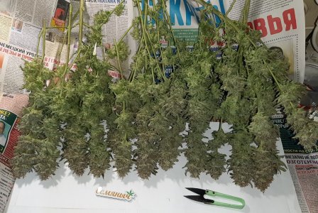 20230426_175707.jpg 20230426_175707.jpg