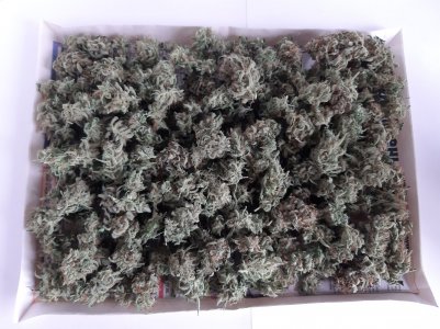 20230430_084343.jpg 20230430_084343.jpg