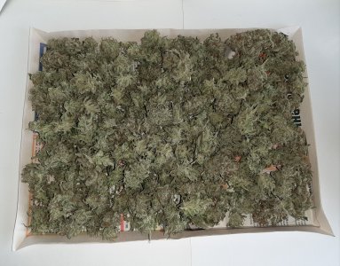 20230430_084313.jpg 20230430_084313.jpg