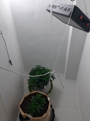 20230503_172729.jpg