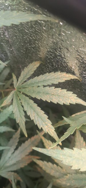 20230512_154345.jpg 20230512_154345.jpg