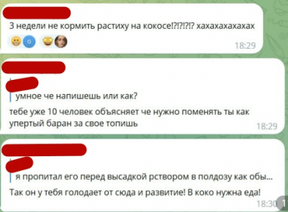1685441714435.png