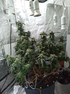 mir_20230531_100053.jpg
