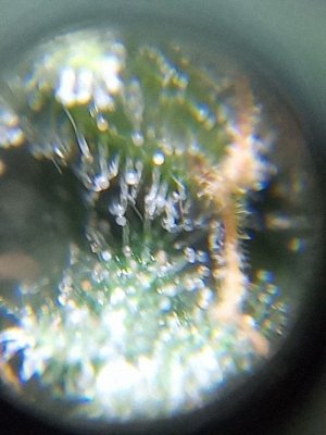 mir_20230531_095807.jpg