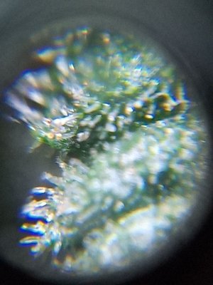 mir_20230531_095751.jpg