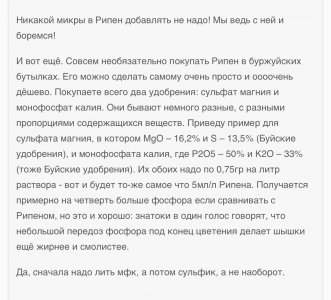 IMG_6702.jpeg