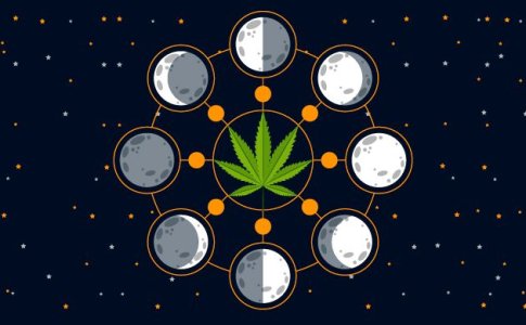 Lunnyj-kalendar-grovera-2021-ot-Semyanycha.jpg Lunnyj-kalendar-grovera-2021-ot-Semyanycha.jpg