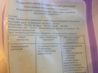 p1PSkOJ6VO0.jpg