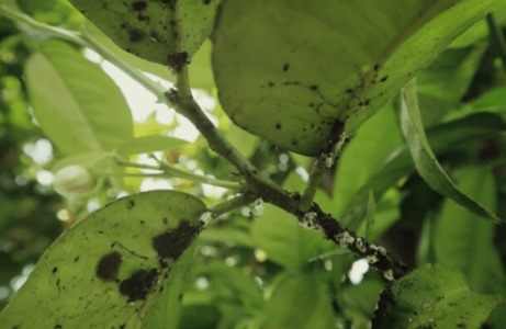 1641731223613.png 1641731223613.png