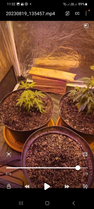 Screenshot_20230820_113251_Video Player.jpg