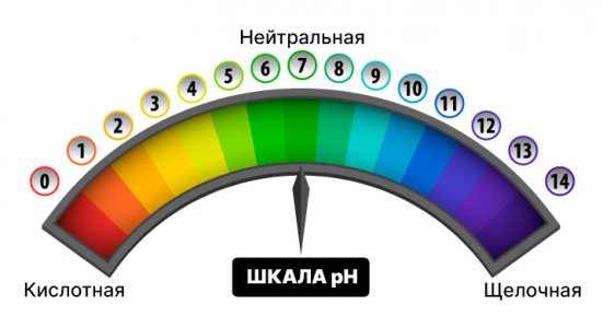 3 (2).jpg 3 (2).jpg
