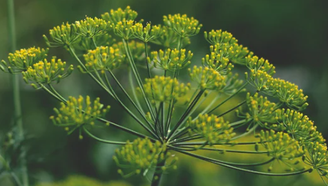 1696523493399.png 1696523493399.png