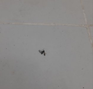 20231030_182306.jpg