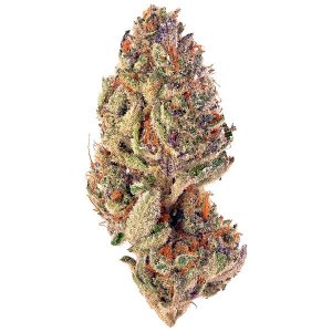 tropicana cookies.jpg