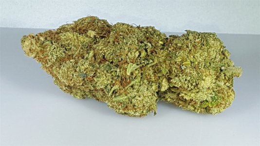 island sweet skunk.jpg