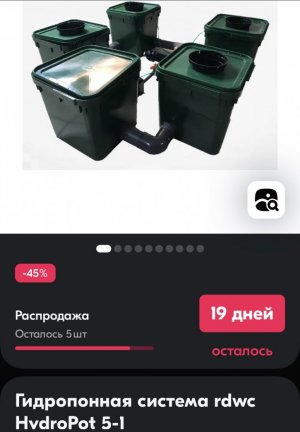 IMG_3901.jpeg