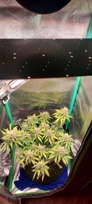 2023.12.19 - 76 день.jpg