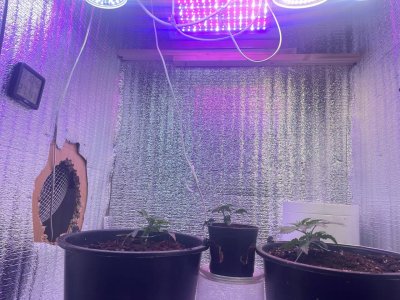 f1e385d8-1bbe-48a3-bebe-d347407c7739.jpg f1e385d8-1bbe-48a3-bebe-d347407c7739.jpg