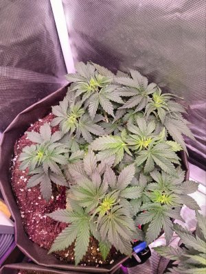 photo1705540006 (1).jpeg