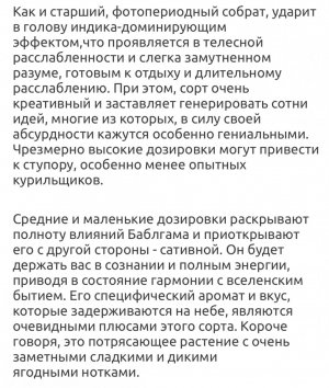 IMG_3606.jpeg IMG_3606.jpeg