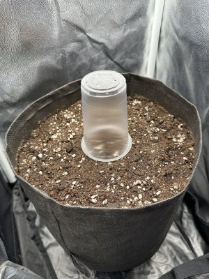 IMG_3562.jpeg IMG_3562.jpeg