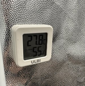 IMG_3607.jpeg IMG_3607.jpeg