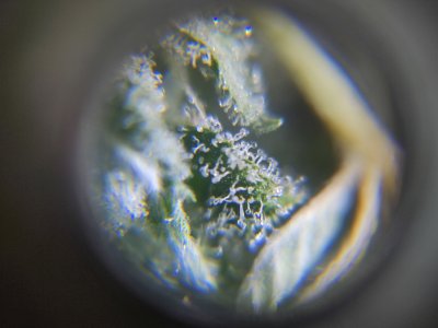 cleaned_IMG20240620212909.jpg