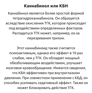 IMG_5930.jpeg