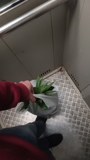 1000044781.jpg