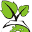 growworldsklep.pl